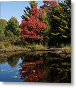 Red And Green - Colorful Autumn Arrival Metal Print