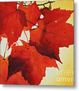 Red And Yellow Metal Print