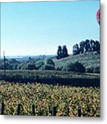 Red Balloon Wine Country Marin Metal Print