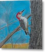 Red Bellied Woodpecker Metal Print