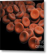 Red Blood Cells Metal Print