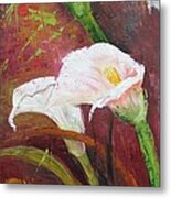 Red Calla Lilies Metal Print