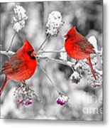 Red Cardinals In The Snow Metal Print