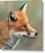 Red Fox Portrait Metal Print