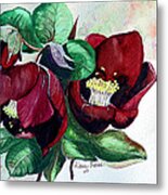 Red Helleborous Metal Print