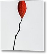 Red Leaf Metal Print
