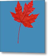 Red Maple Leaf Metal Print