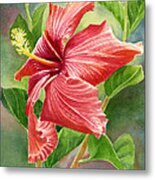 Red Orange Hibiscus with Background Painting by Sharon Freeman - Fine ...