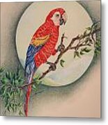Red Parrot Metal Print