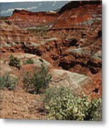 801a Red Rock Formations Metal Print