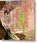 Red Rock With Waterfall Metal Print