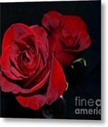 Red Roses For A Blue Lady Metal Print