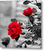Red Roses Metal Print