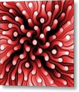 Red Sea Anemone Metal Print
