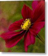 Red Sensation Metal Print