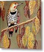 Red Shafted Flicker Metal Print