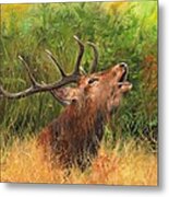 Red Stag Metal Print