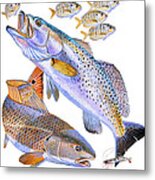 Redfish Trout Metal Print