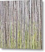 Reeds Background Metal Print