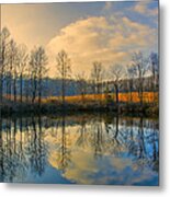 Reflect Metal Print