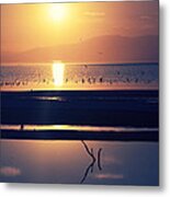 Reflected Metal Print