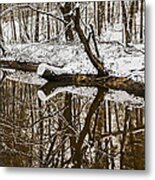 Reflecting Stump On A Cold Winter Day Metal Print