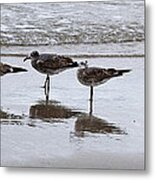 Reflection At The Beach Metal Print