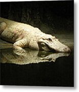 Reflection Metal Print