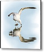 Reflection In Ice Metal Print