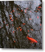 Reflections And Goldfish Metal Print