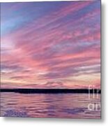 Reflections In Pink Metal Print