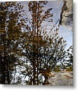 Reflections Metal Print