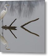 Reflections Metal Print