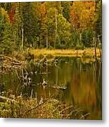 Reflections Of The Fall Metal Print