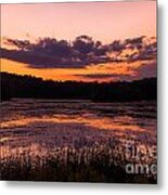 Refractions Metal Print