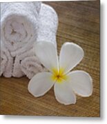 Relax At The Spa Metal Print