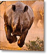 Rhino Learning To Fly Metal Print