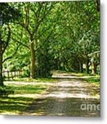 Rickety Fence Metal Print