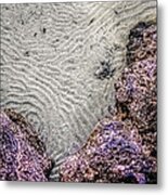 Rippled Sand And Coral Metal Print