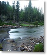 Trout Stream 001 Metal Print