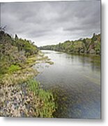 River In Ocala National Forest Florida Metal Print