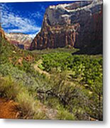 River View In Zion Park Metal Print