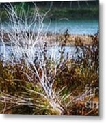 Riverside Treasures Metal Print