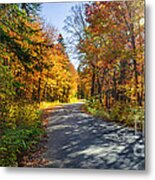 Road Through Fall Forest Metal Print