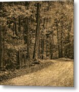 Road Into The Woods Metal Print