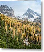 Road Through A Larch Conifers Forest Metal Print