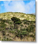 Road To Haleakala 22 Metal Print