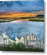 Road To Lieutenant Island Metal Print