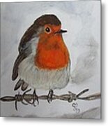 Robin On The Wire Metal Print