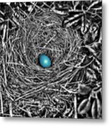 Robin's Egg Blue B And W Metal Print